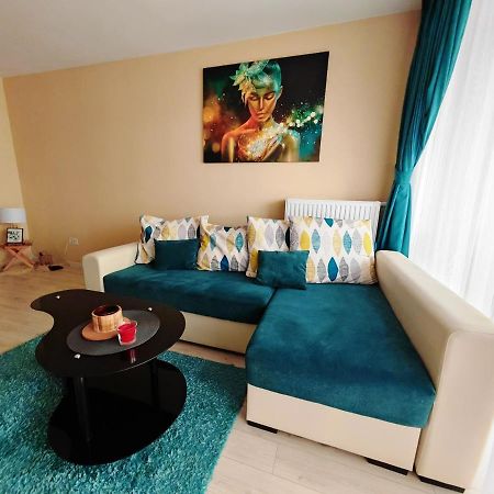 Luxurious Landing Apartment 布拉索夫 外观 照片