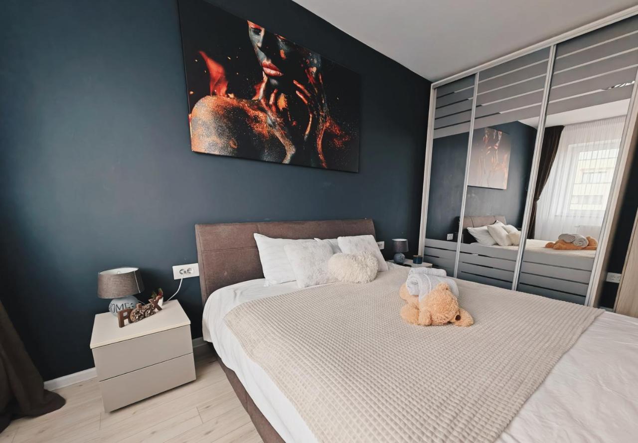 Luxurious Landing Apartment 布拉索夫 外观 照片