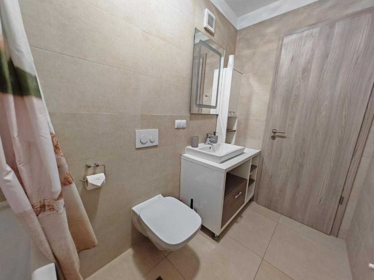 Luxurious Landing Apartment 布拉索夫 外观 照片